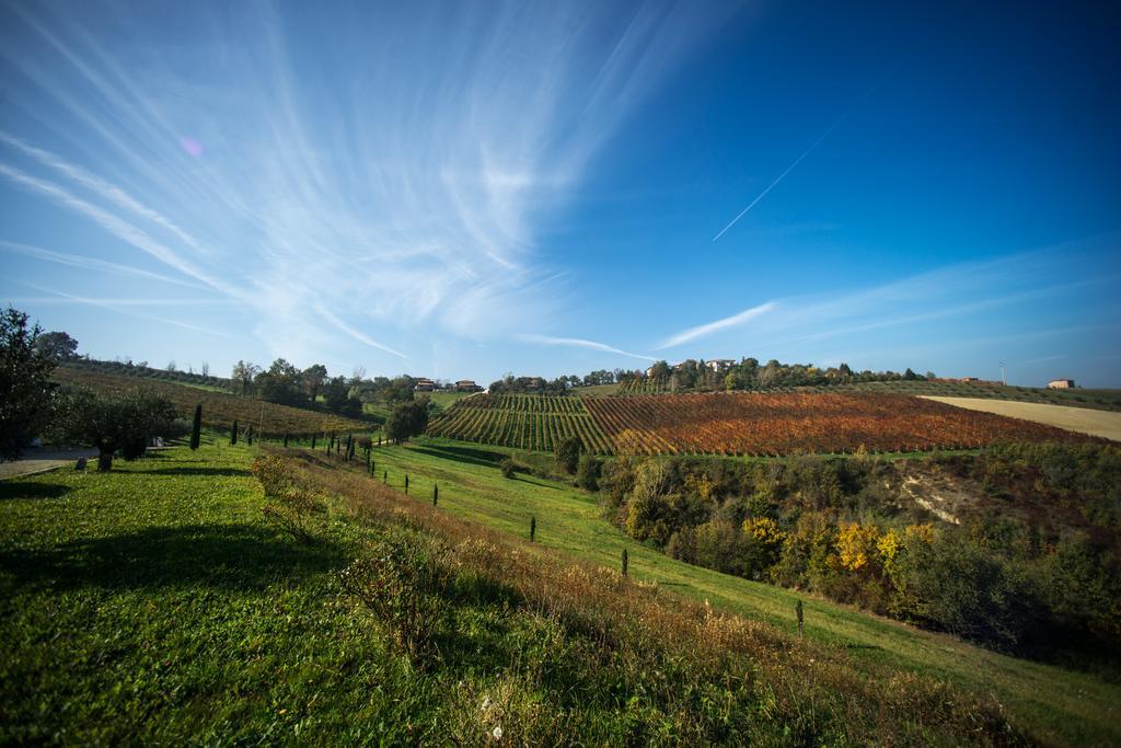 Agriturismo Acetaia Sereni Marano sul Panaro Bagian luar foto