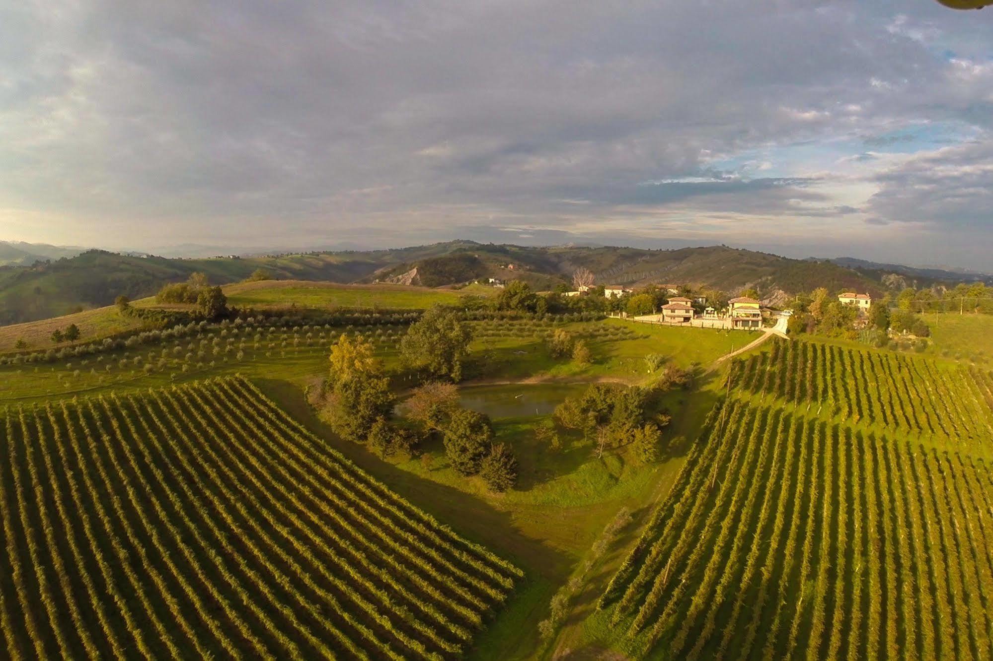 Agriturismo Acetaia Sereni Marano sul Panaro Bagian luar foto